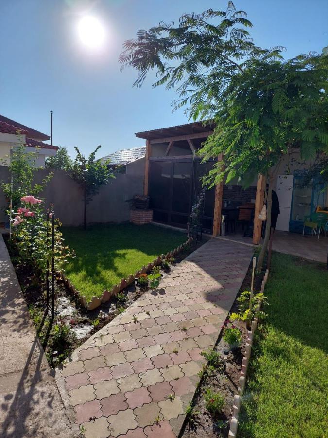 Albdevara Mar Srl Vama Veche Exteriér fotografie